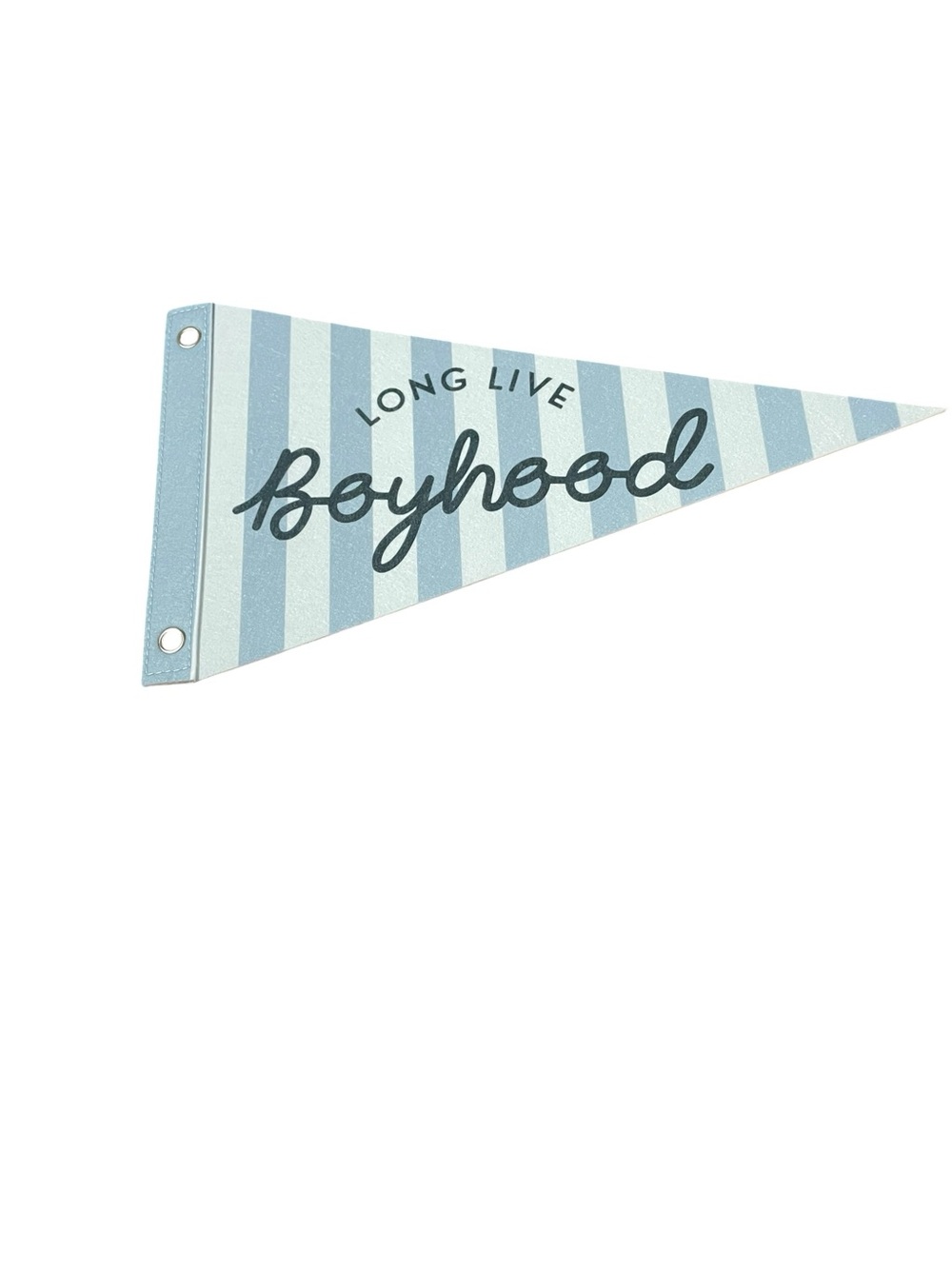 'Long Live Boyhood' Blue Striped Pennant Banner